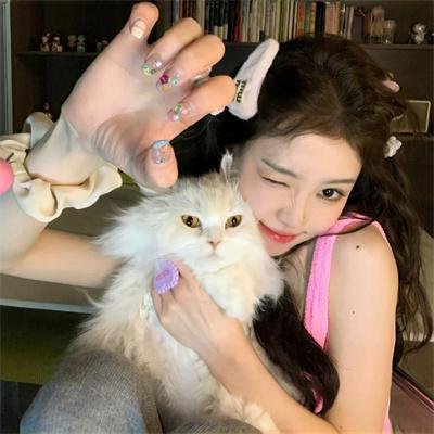 森林进化论第三季