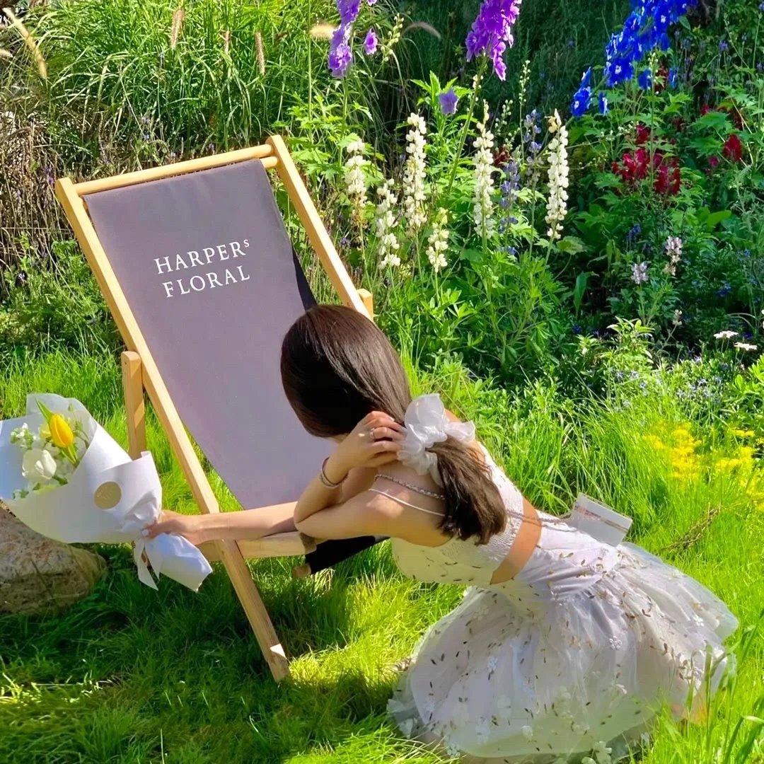 大进军——解放大西北